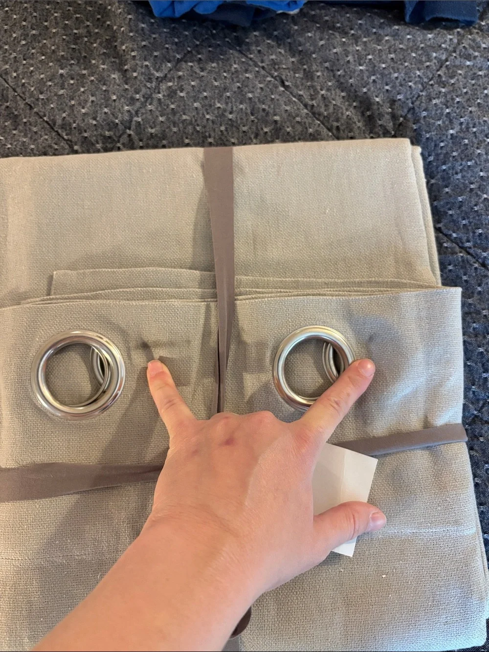 West Elm Champagne Grommet Drapery Panel with Silver Rings
